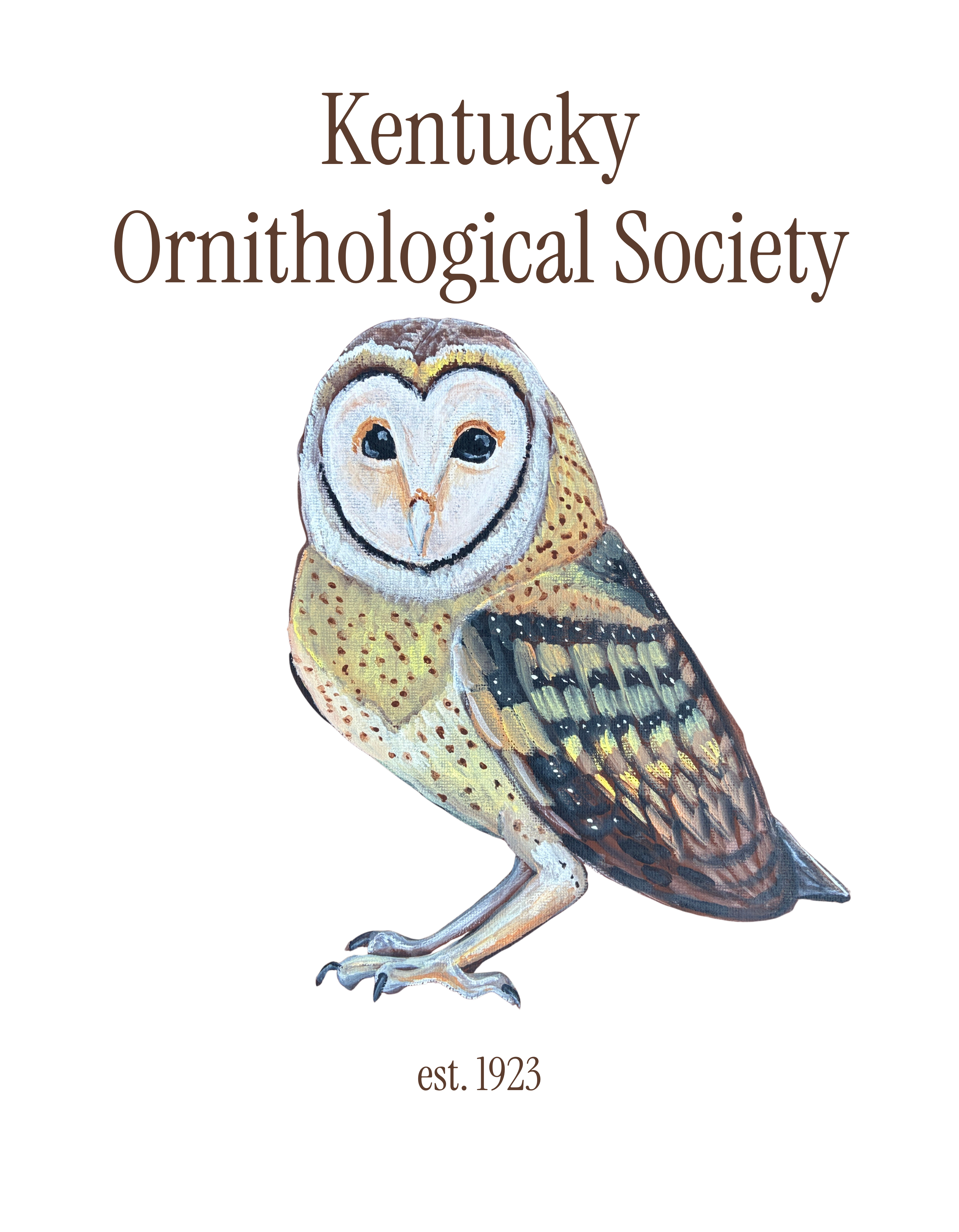 Barn Owl