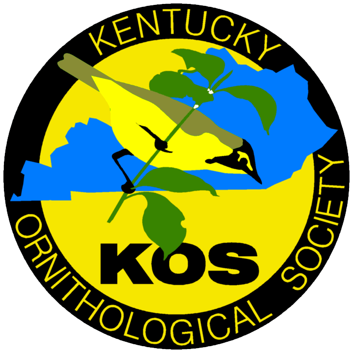 KOS Logo image